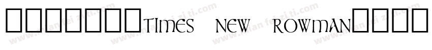 阿拉伯数字字体times new rowman字体转换